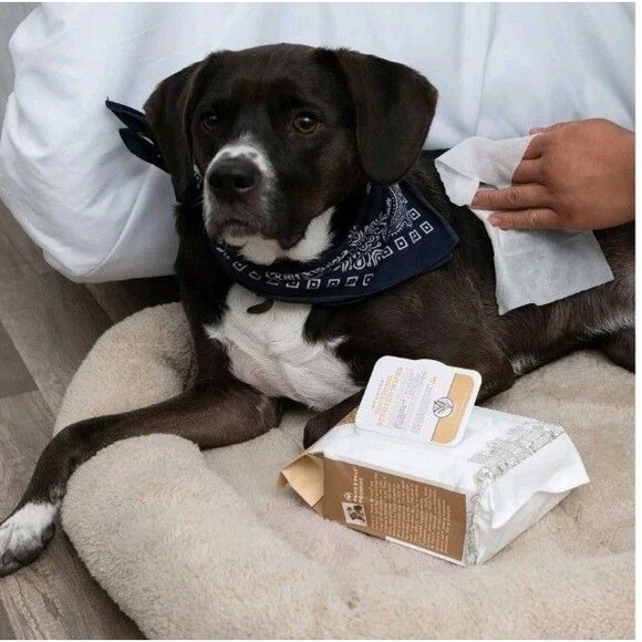 3 Pack Paws & Pals Pet Grooming Oatmeal Scent Wipes Hypo Allergenic Cleansing - Picture 6 of 6